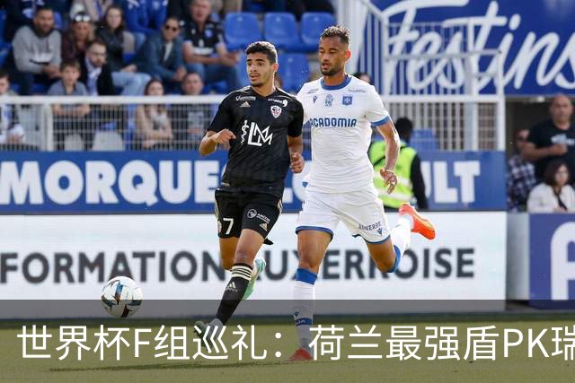 世界杯F组巡礼：荷兰最强盾PK瑞典犀利刀 日本短板明显