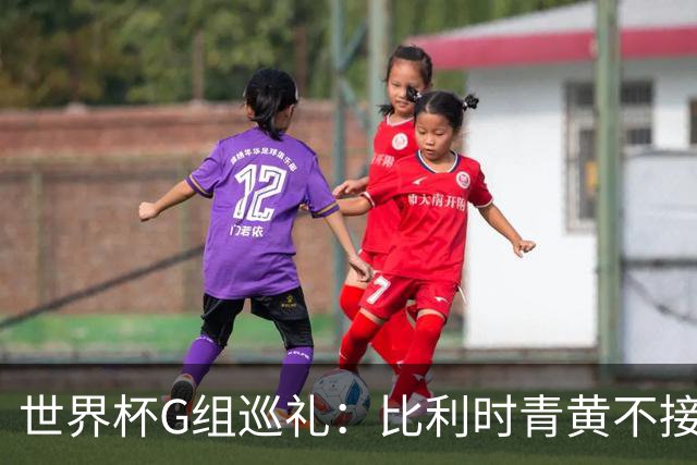 世界杯G组巡礼：比利时青黄不接 伊朗赴美参赛风波不断