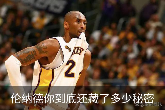 伦纳德你到底还藏了多少秘密