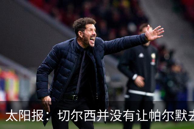 太阳报：切尔西并没有让帕尔默去游说罗杰斯，但两人感情很好