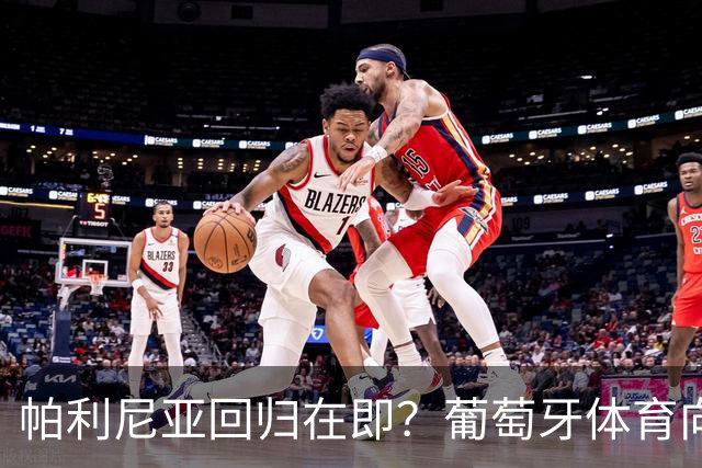 帕利尼亚回归在即？葡萄牙体育向其许诺队长袖标的背后故事