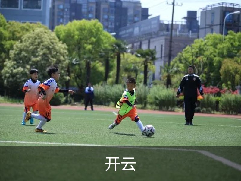 开云介绍
