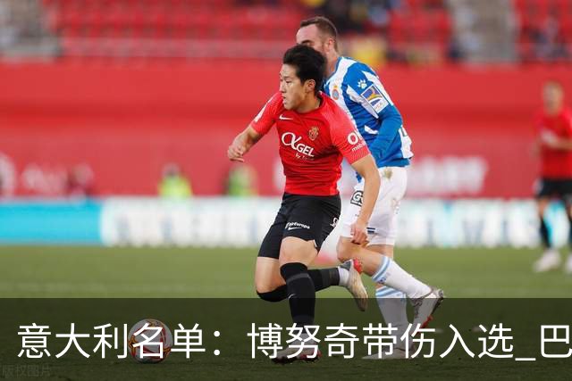 意大利名单：博努奇带伤入选 巴洛特利最终落选