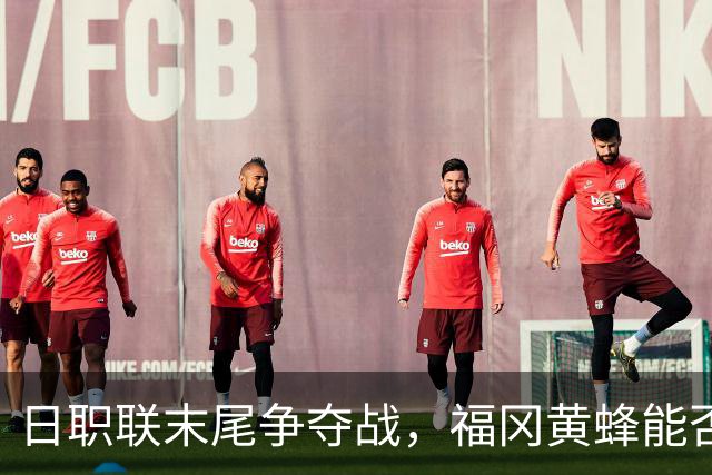 日职联末尾争夺战，福冈黄蜂能否在主场力克千叶市原？