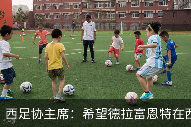 西足协主席：希望德拉富恩特在西班牙长期执教，当我们的弗格森