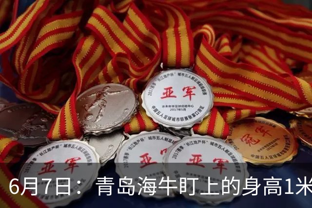 6月7日：青岛海牛盯上的身高1米94海地国脚皮耶罗引援计划或告吹